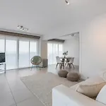 Apartment Gelijkvloers Zeedijk - Lichtrijk En Modern Blankenberge