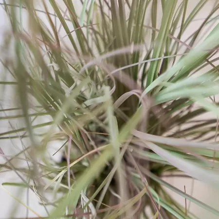 Gelijkvloers Zeedijk - Lichtrijk En Modern בלנקנברג