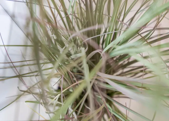 Gelijkvloers Zeedijk - Lichtrijk En Modern בלנקנברג