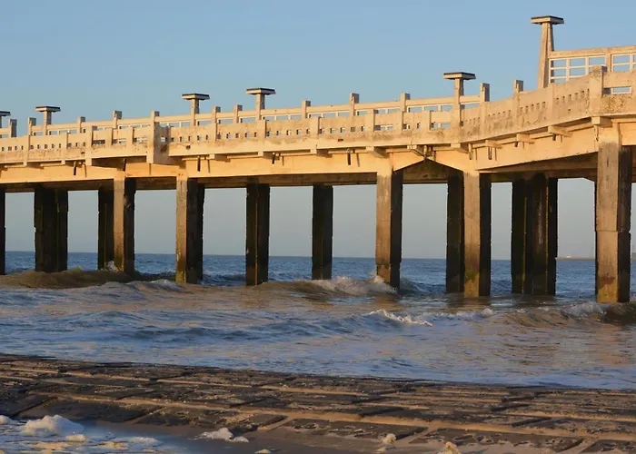 Gelijkvloers Zeedijk - Lichtrijk En Modern דירה *